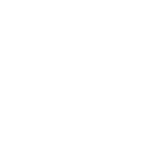 Logo van Dutch Biz Amerfsoort